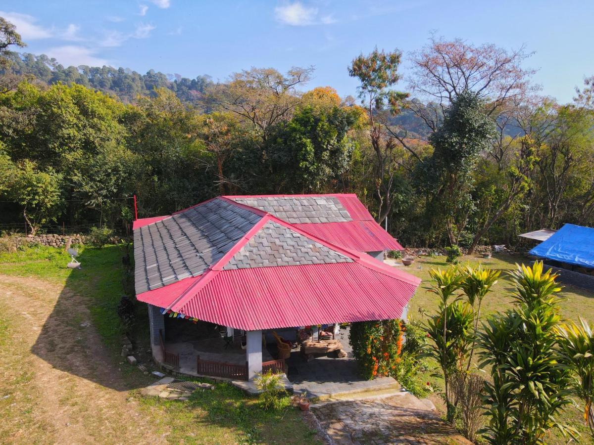 Dreamwoods A Travellers Farm Hostel Dharamszala Kültér fotó