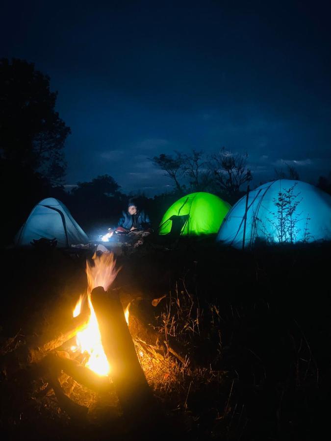 Dreamwoods A Travellers Farm Hostel Dharamszala Kültér fotó