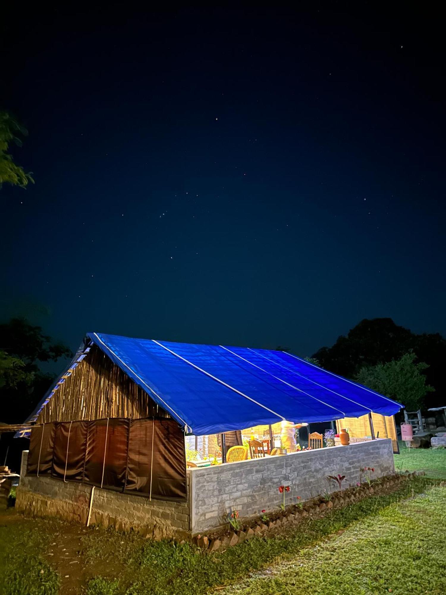 Dreamwoods A Travellers Farm Hostel Dharamszala Kültér fotó