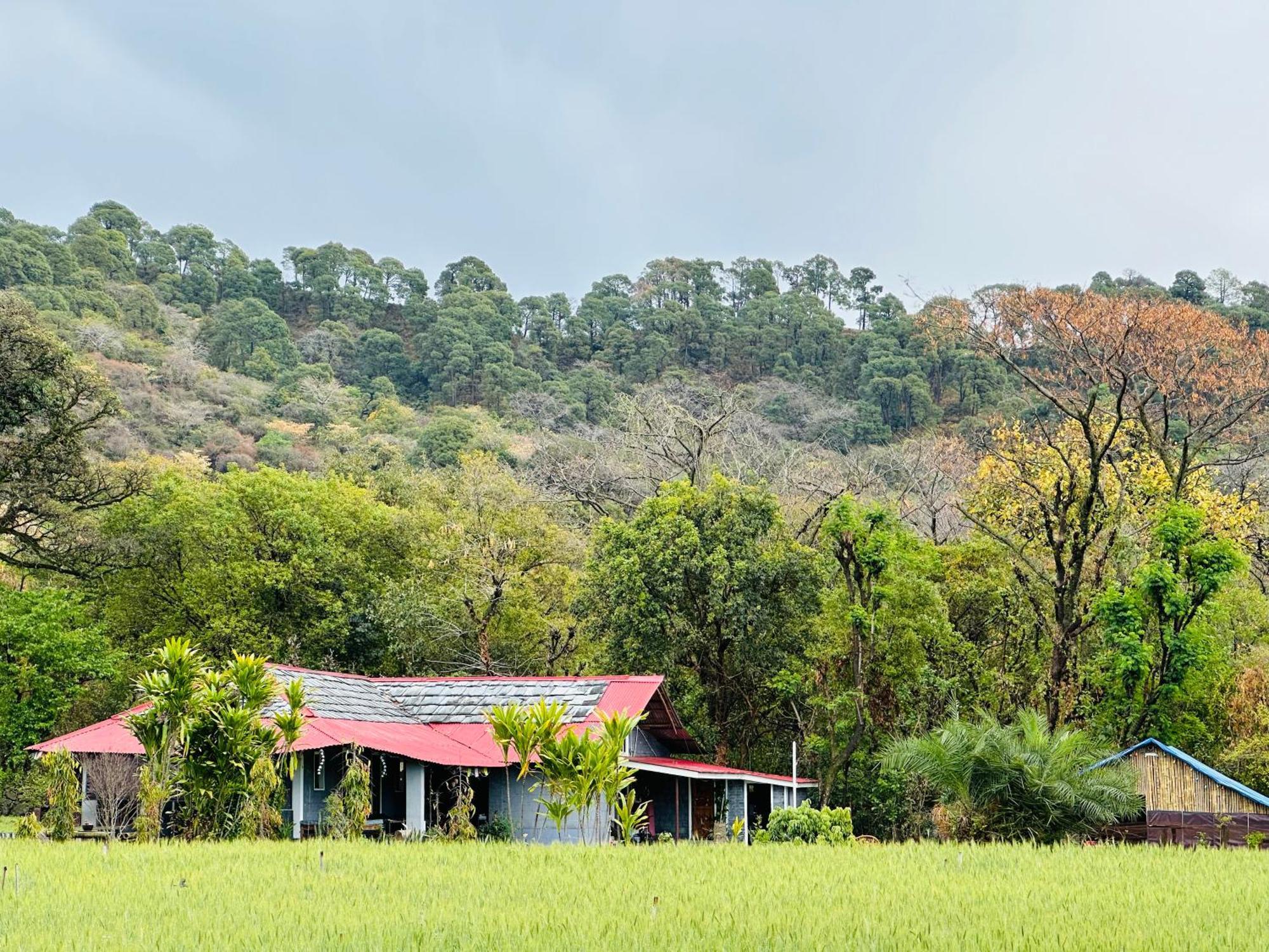 Dreamwoods A Travellers Farm Hostel Dharamszala Kültér fotó